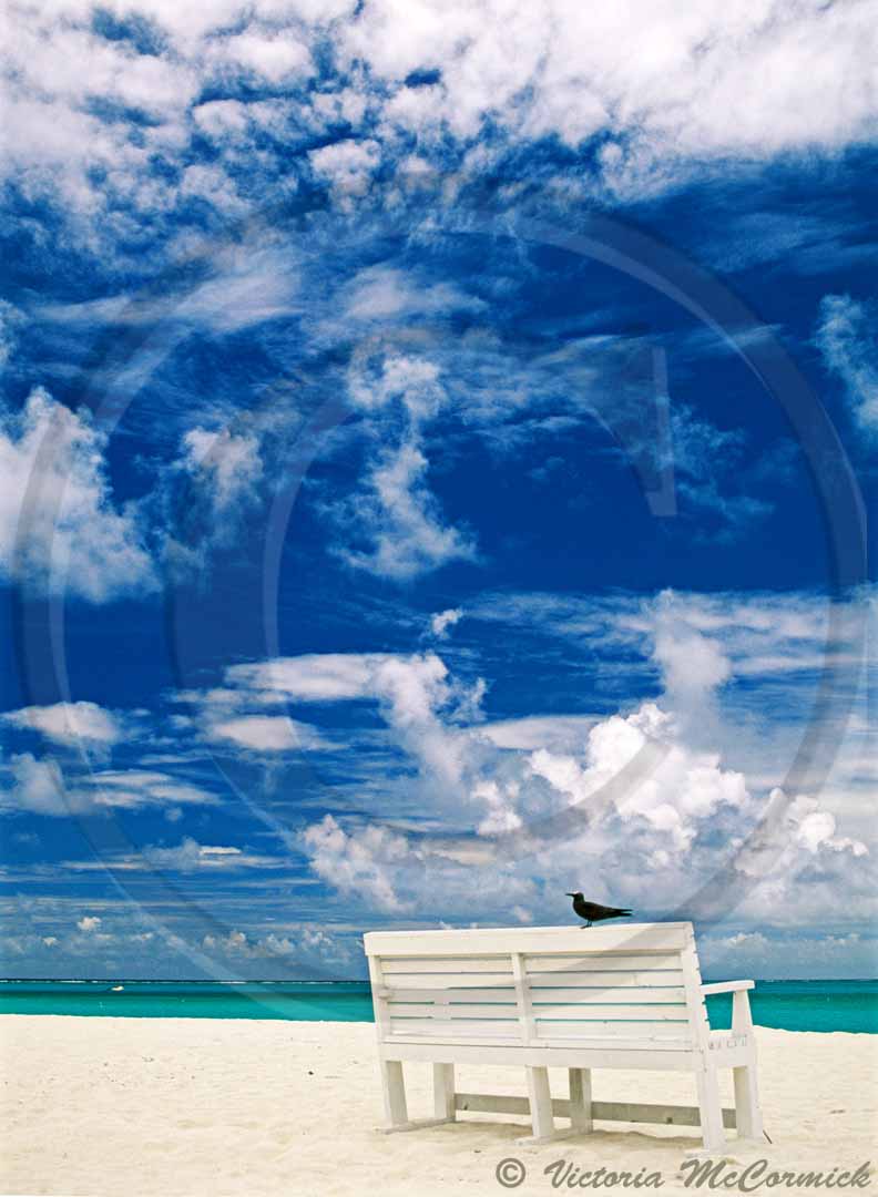 Whispering Clouds Victoria Mccormick